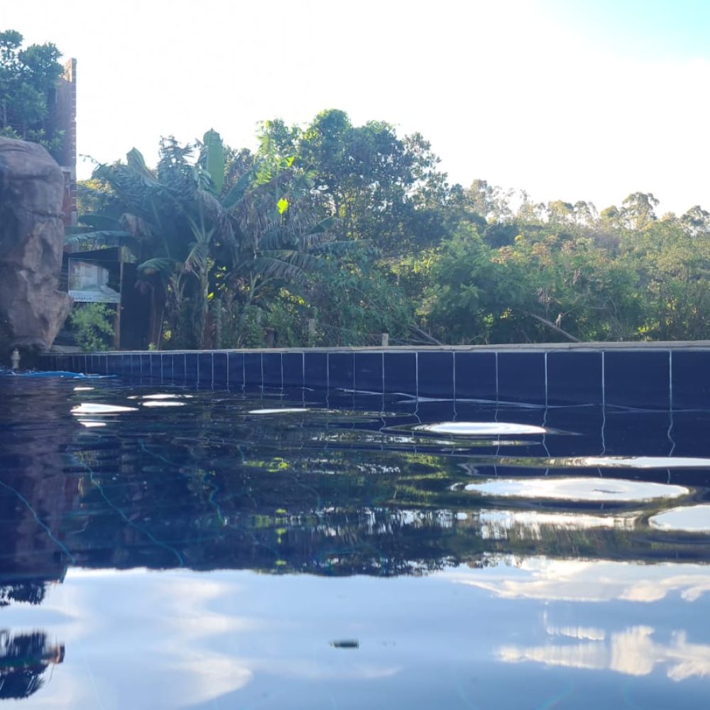 5c53174c-d60d-4ec8-ad94-6a38ed93c199